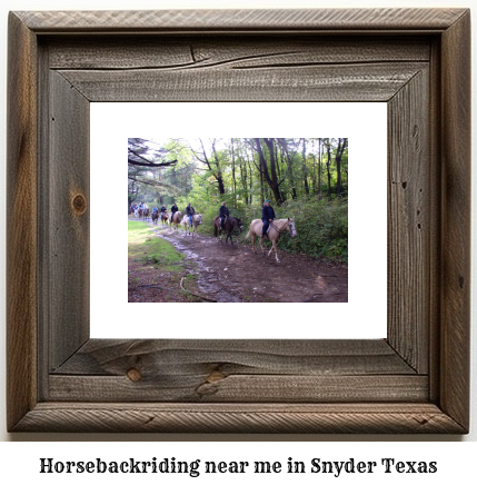 horseback riding near me in Snyder, Texas